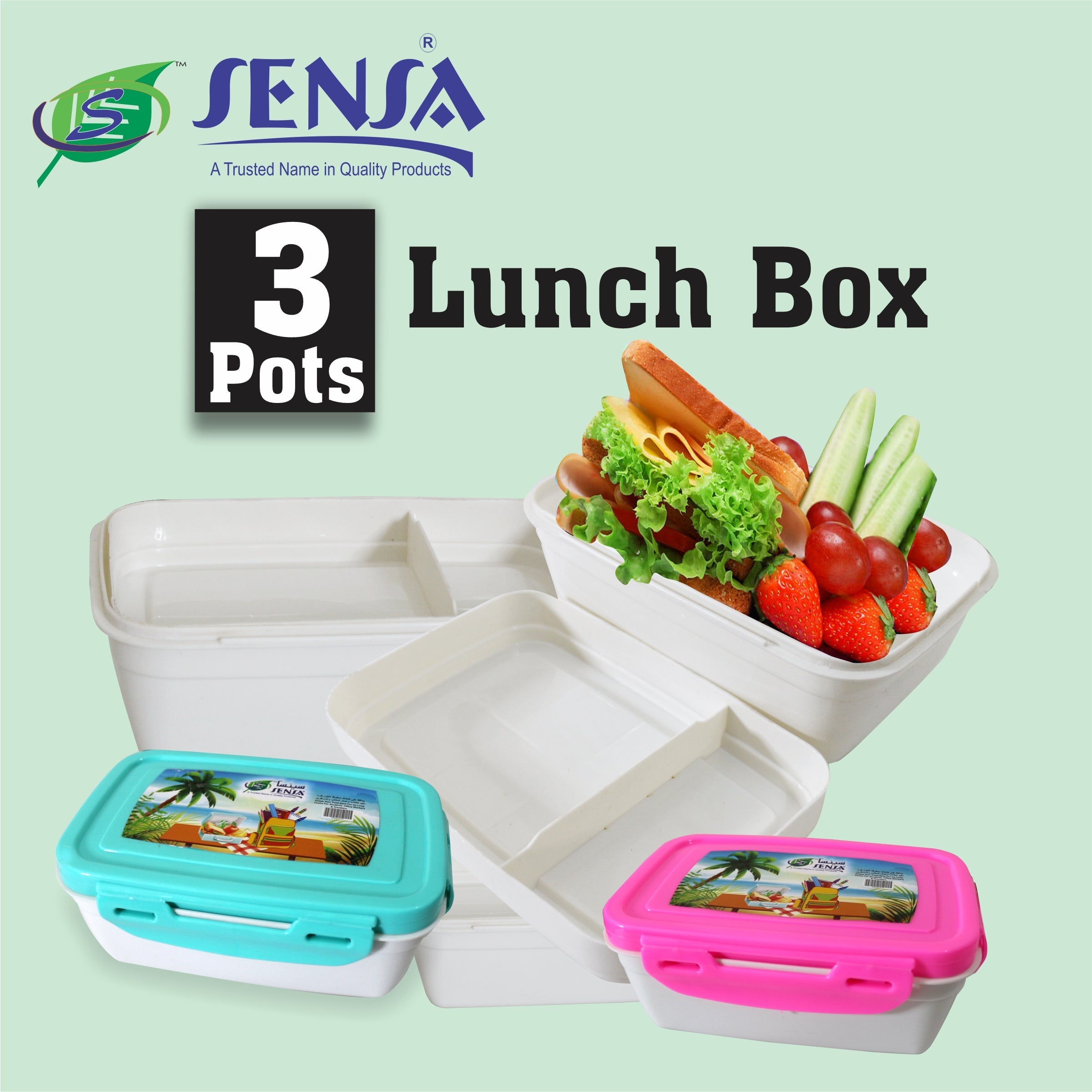 Sensa Plastic Lunch Box #5052