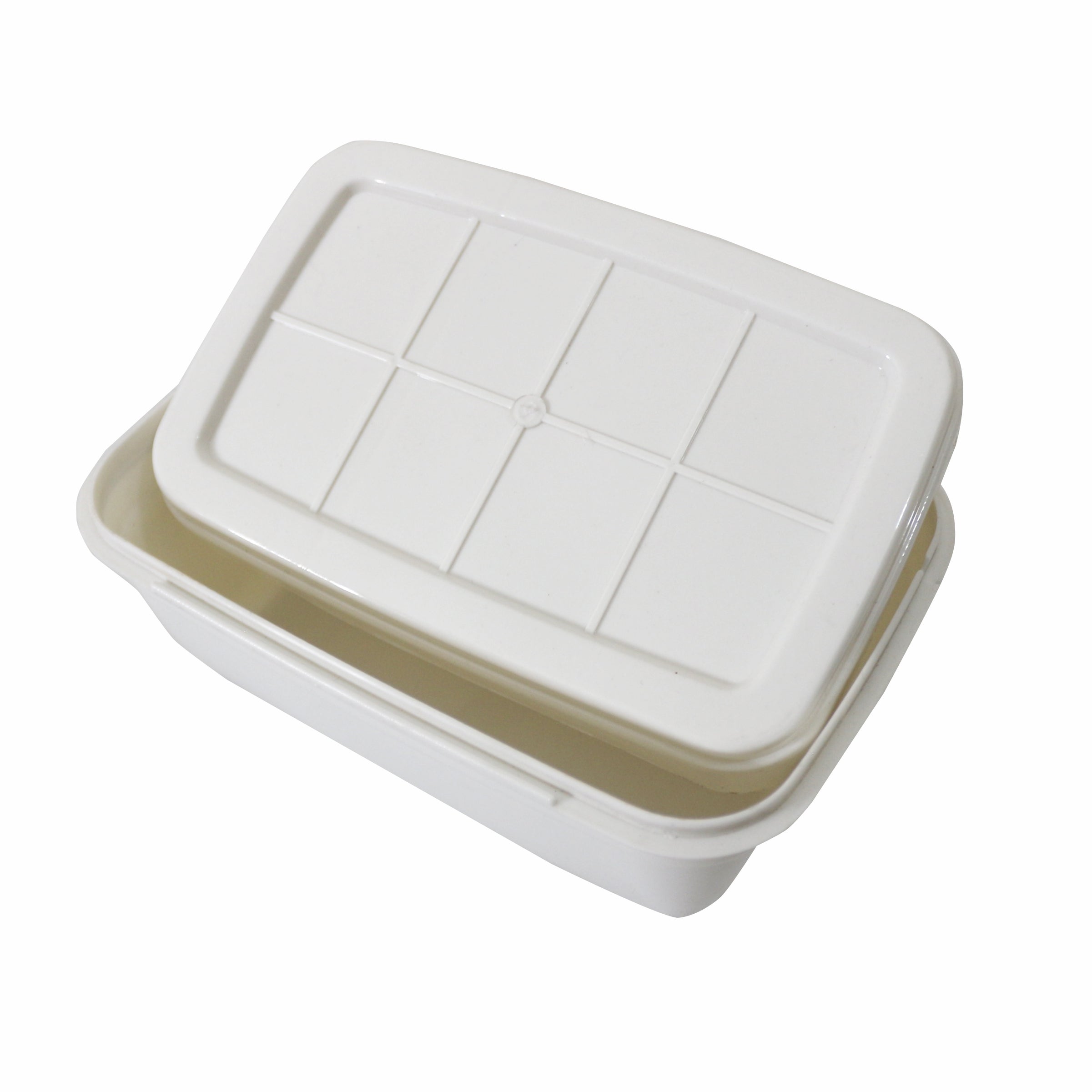 Sensa Plastic Lunch Box #5052