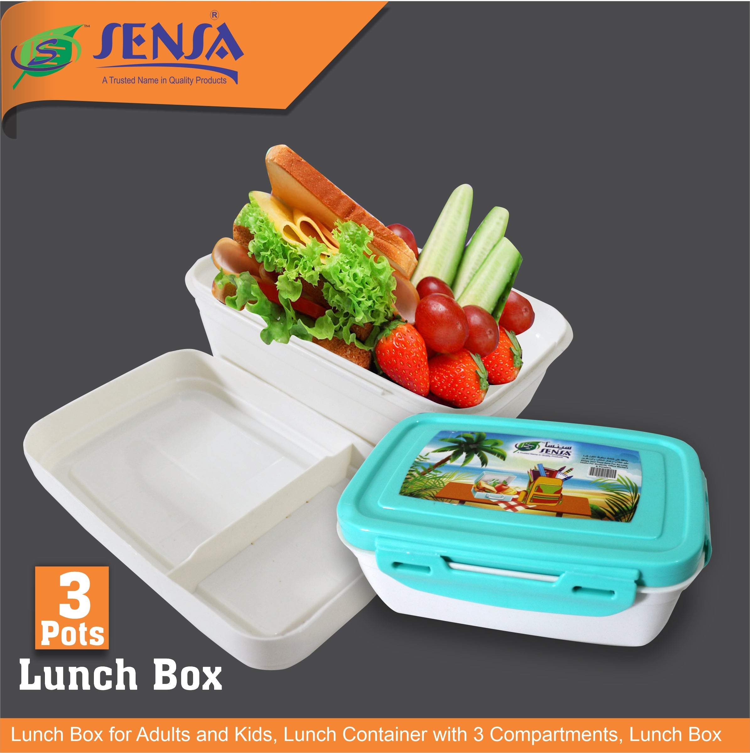 Sensa Plastic Lunch Box #5052